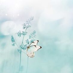 ©stockAdobe